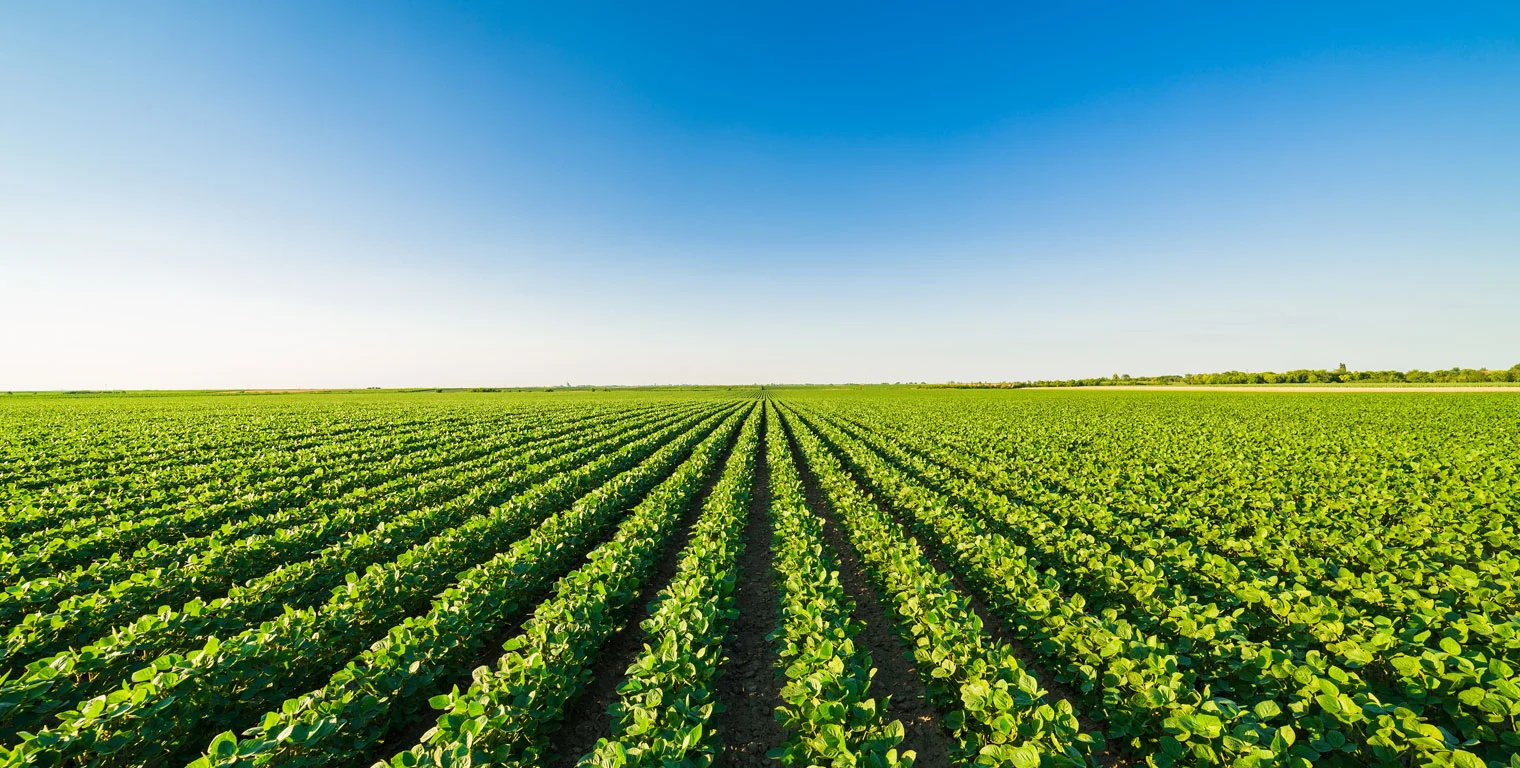 Requisitos de qualidade mais alta