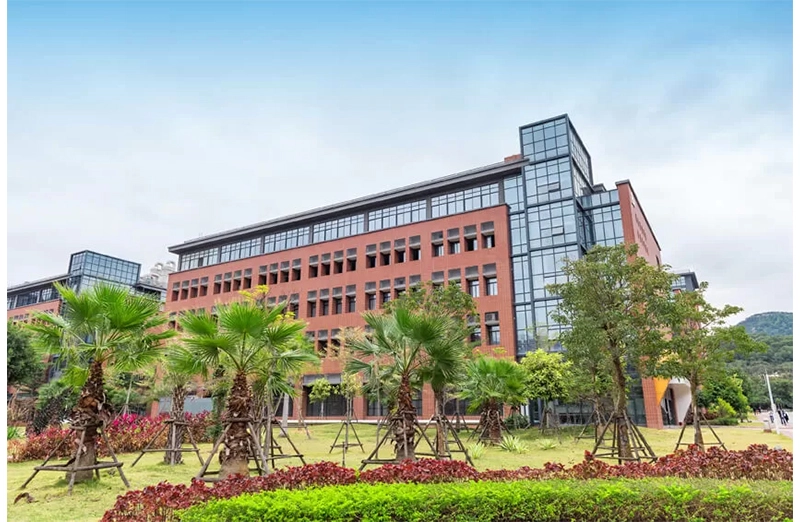 História do campo natural