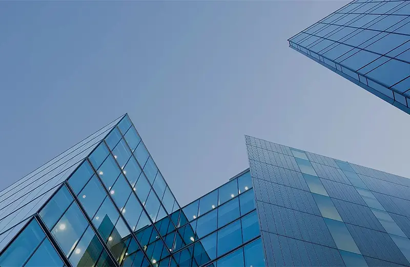 História do campo natural