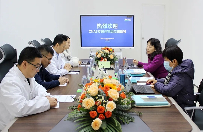 História do campo natural