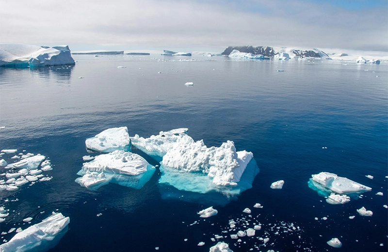 Sustentabilidade Campo Natural