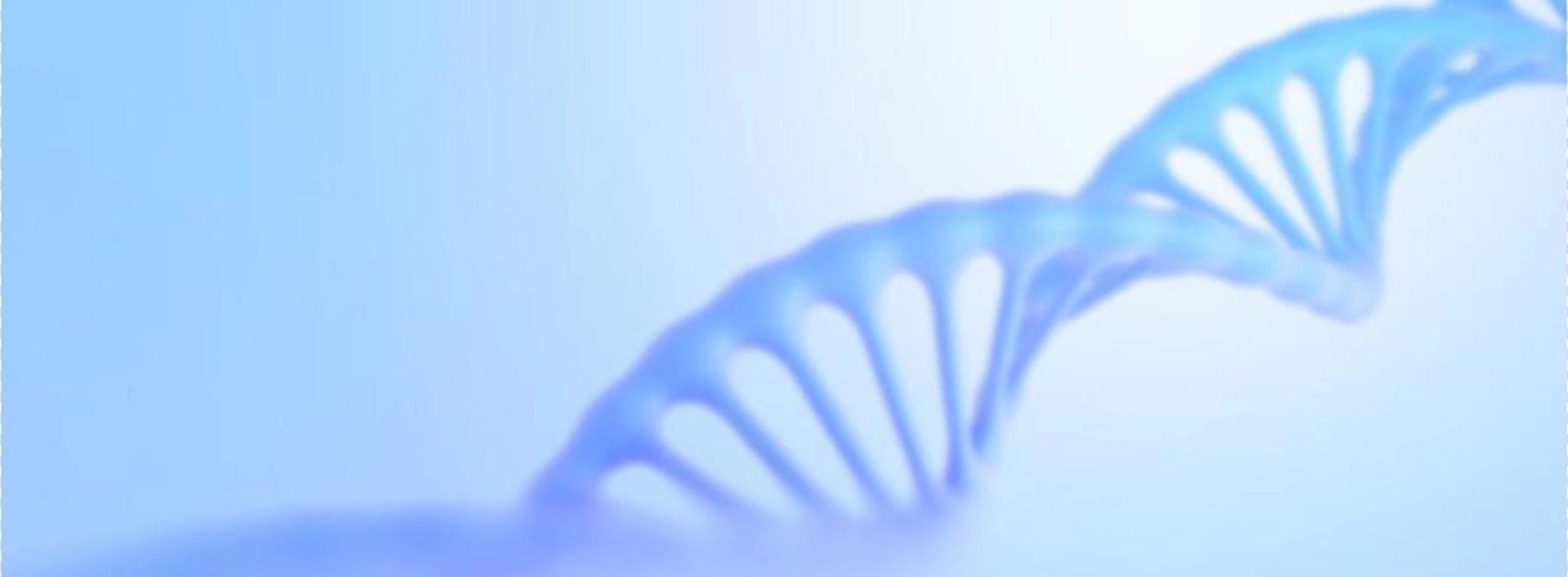 Ingredientes de suplemento de campo natural atacado