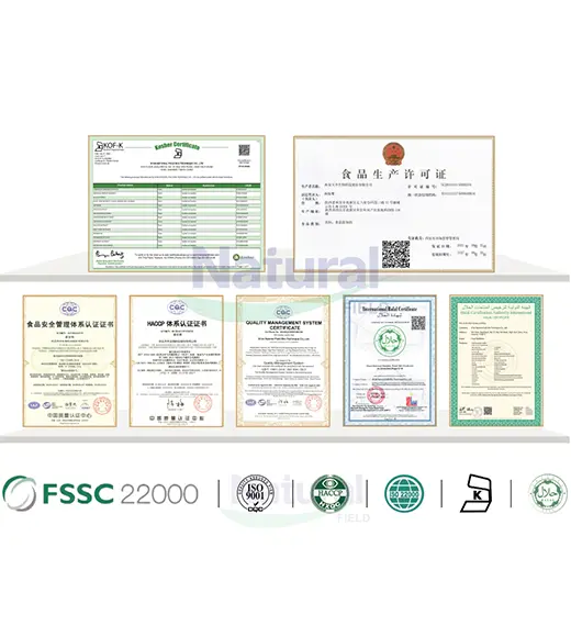 Campo Natural Oito Garantias do Sistema