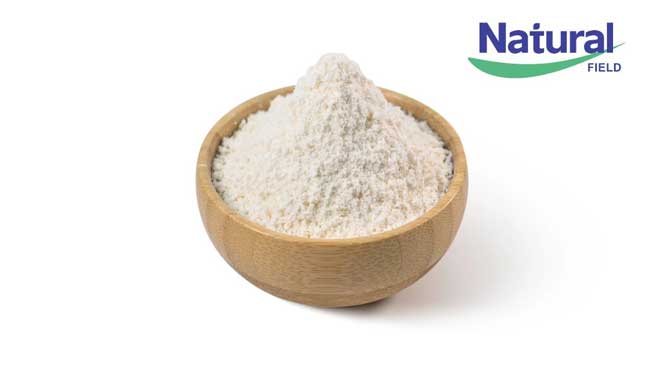 alpha arbutin powder 
