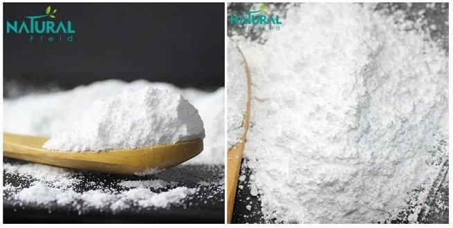 stinging nettle supplement