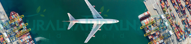 horney goat weed extract 