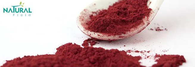 maca powder wholesale 