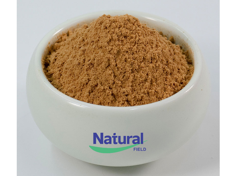 longjack-eurycoma-longifolia