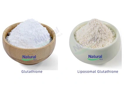 2024 Nutrição e Saúde Inventário de Ingredientes Quentes