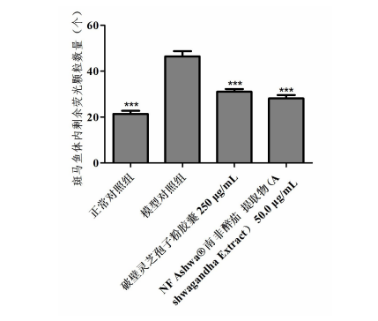 ashwagandha root extract uses