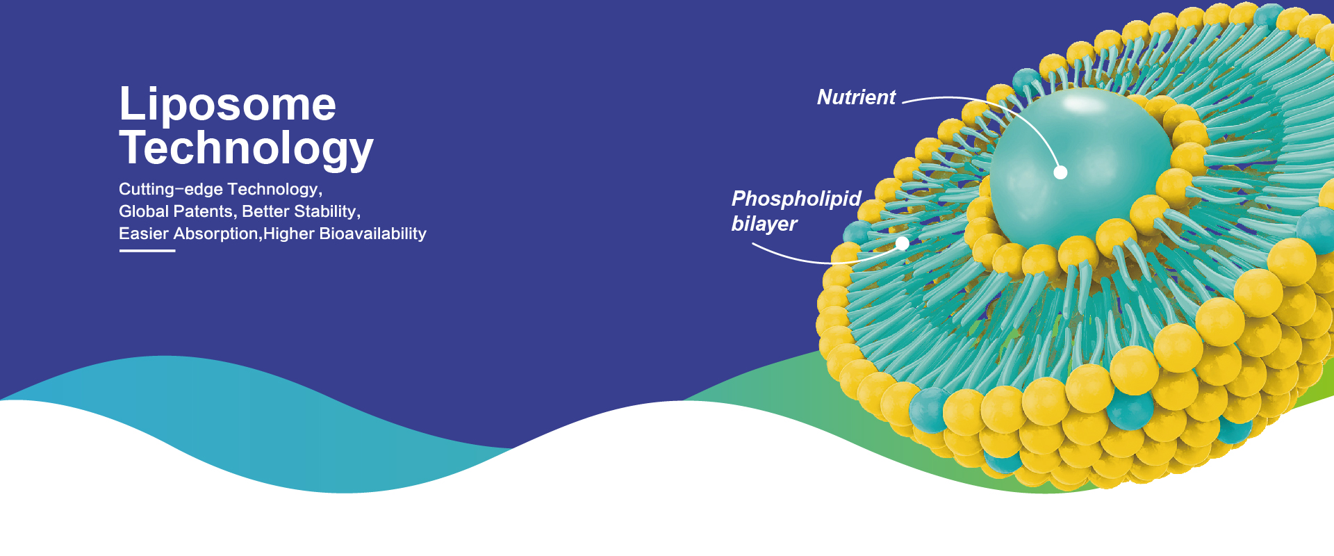 Produtos de Lipossoma de Campo Natural