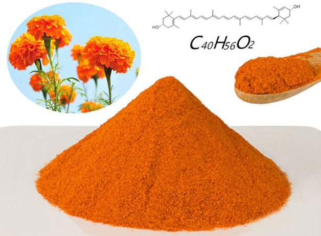 Os 10 principais ingredientes saudáveis quentes sugeridos no mercado de cuidados com os olhos de 100 bilhões