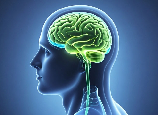 Matérias-primas intermediárias de citosina: a pedra angular da inovação farmacêutica e a força motriz para uma saúde