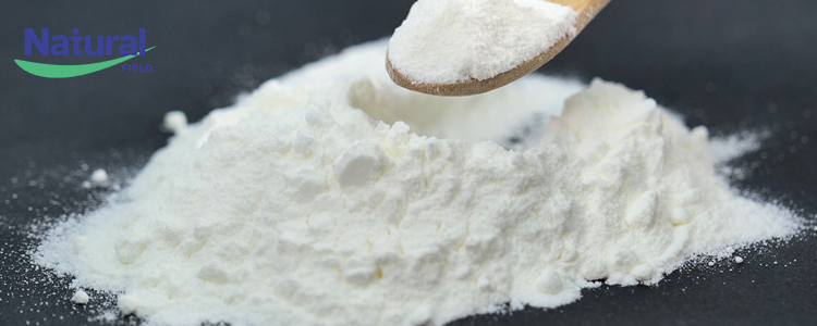 Campo Natural-Ciência Popular da Vitamina K2 Conhecimento