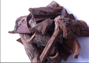 A aplicação milagrosa do extrato de ameixa africana no campo da saúde