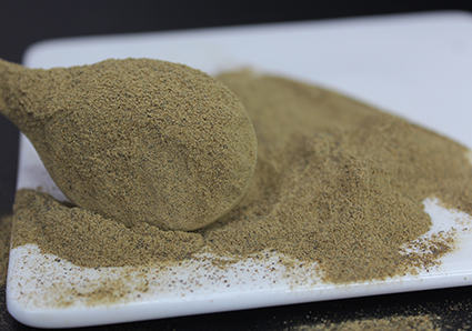 Bacopa monnieri-Manter a saúde mental é importante