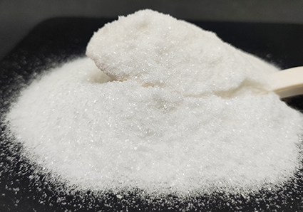 L-carnitina e vitamina B12 diferenças e similaridade