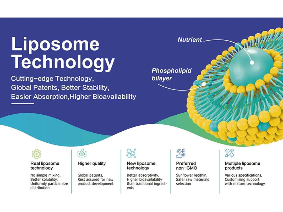 A ascensão do mercado de nutrição lipossoma! A revolução da taxa de absorção está remodelando o cenário global de alimentos saudáveis