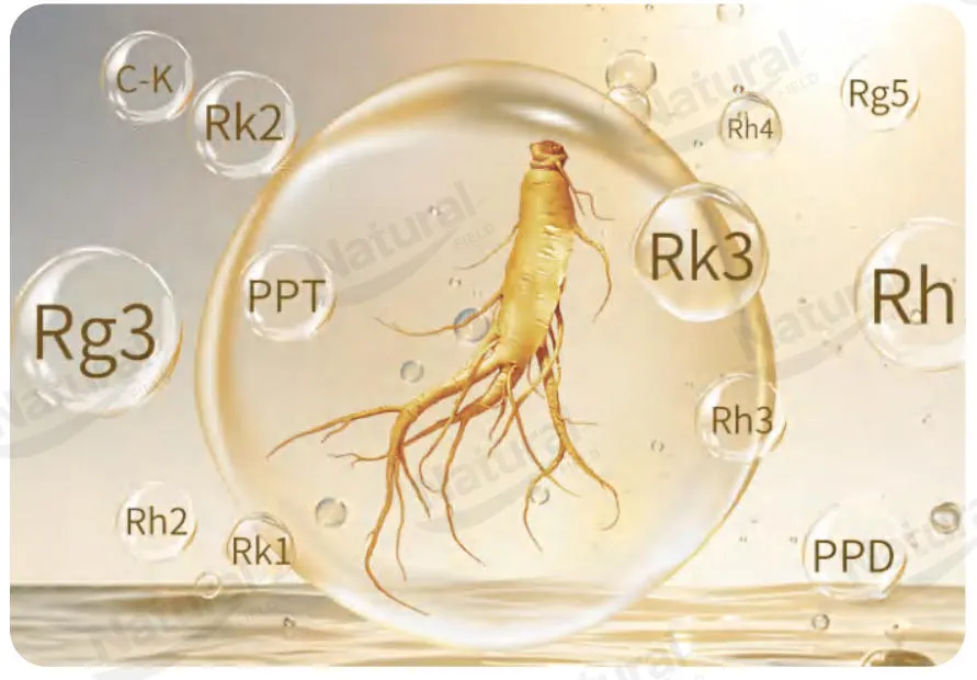 O papel e as vantagens dos ginsenosídeos raros na co-carga de lipossomas