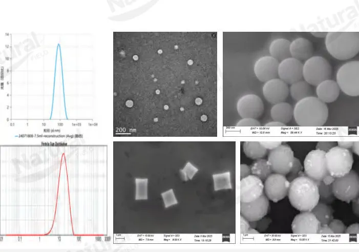 Como distinguir a autenticidade dos lipossomas?