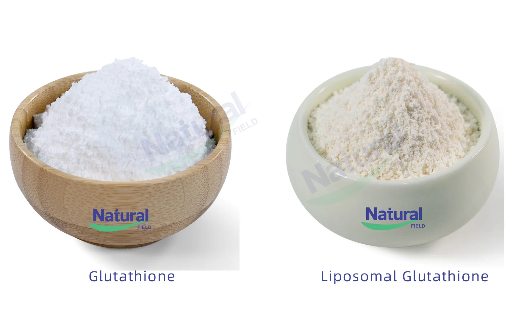 Glutationa Liposomal vs Glutationa Convencional Revelando a Superioridade da Forma Lipossômica