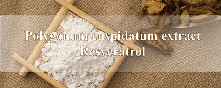 Resveratrol3_banner.webp Resveratrol3_banner.webp