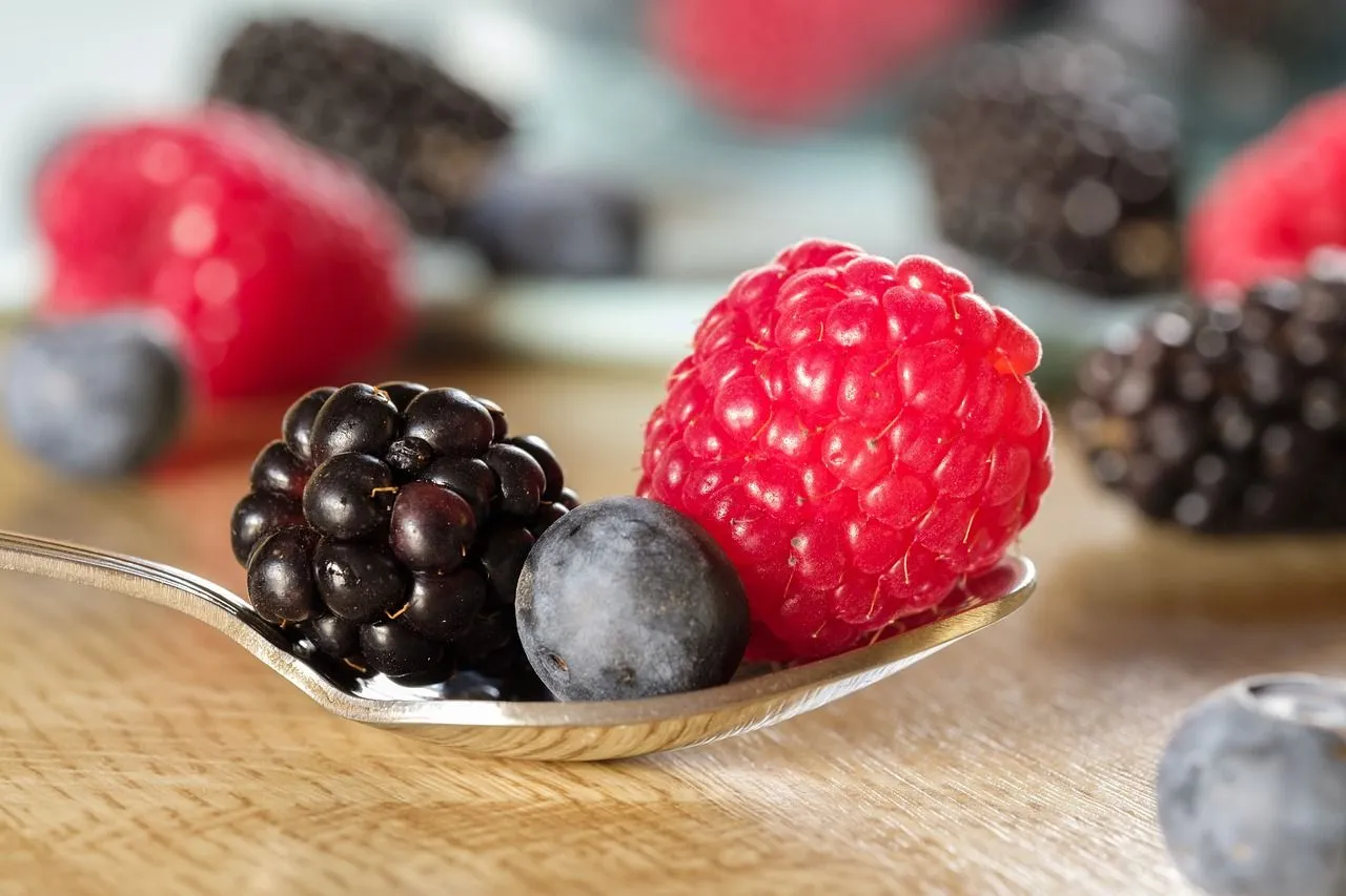 Status regulatório do pedido de resveratrol na indústria de alimentos nos principais países do mundo