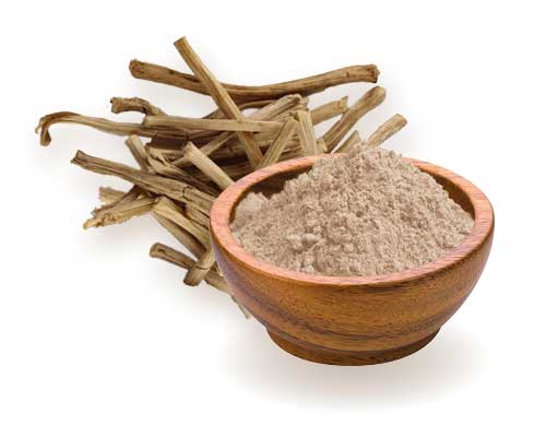 shatavari.jpg shatavari.jpg