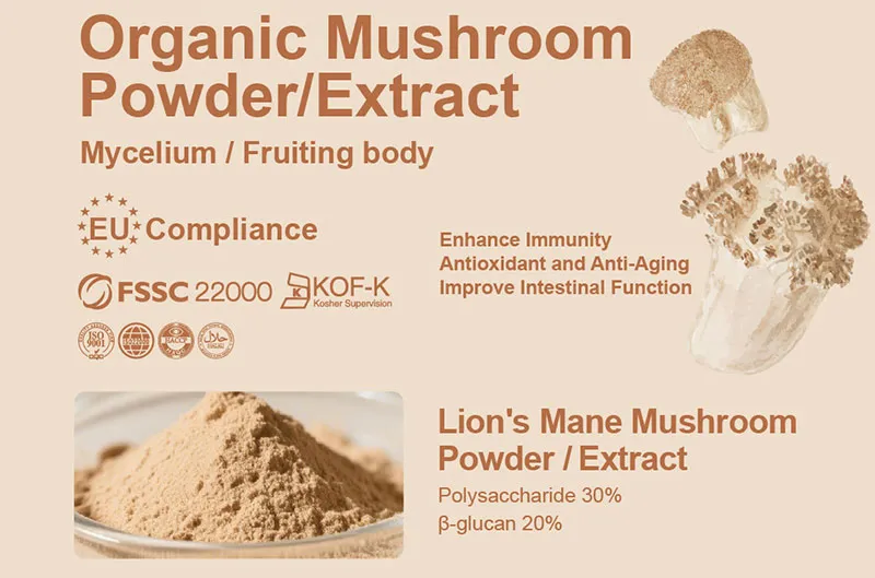 Como Encontrar um Fornecedor Confiável de Extrato de Cogumelo Orgânico