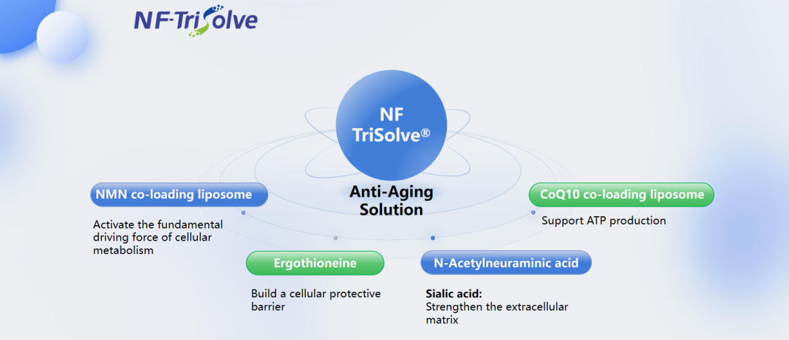 NFtrisolve.jpg NFtrisolve.jpg